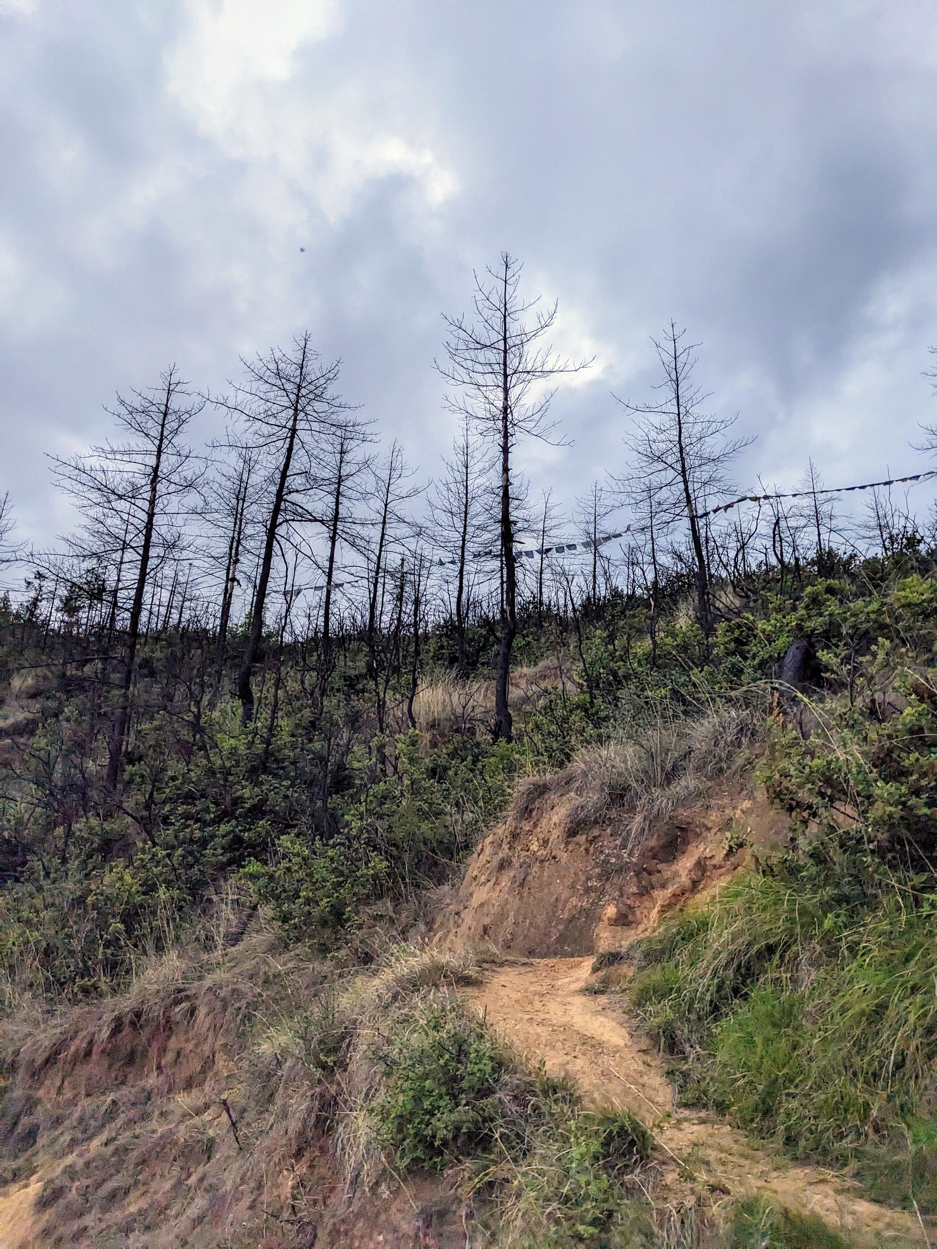 001_FIRE_SCARE_WANGDITSE_LHAKHANG