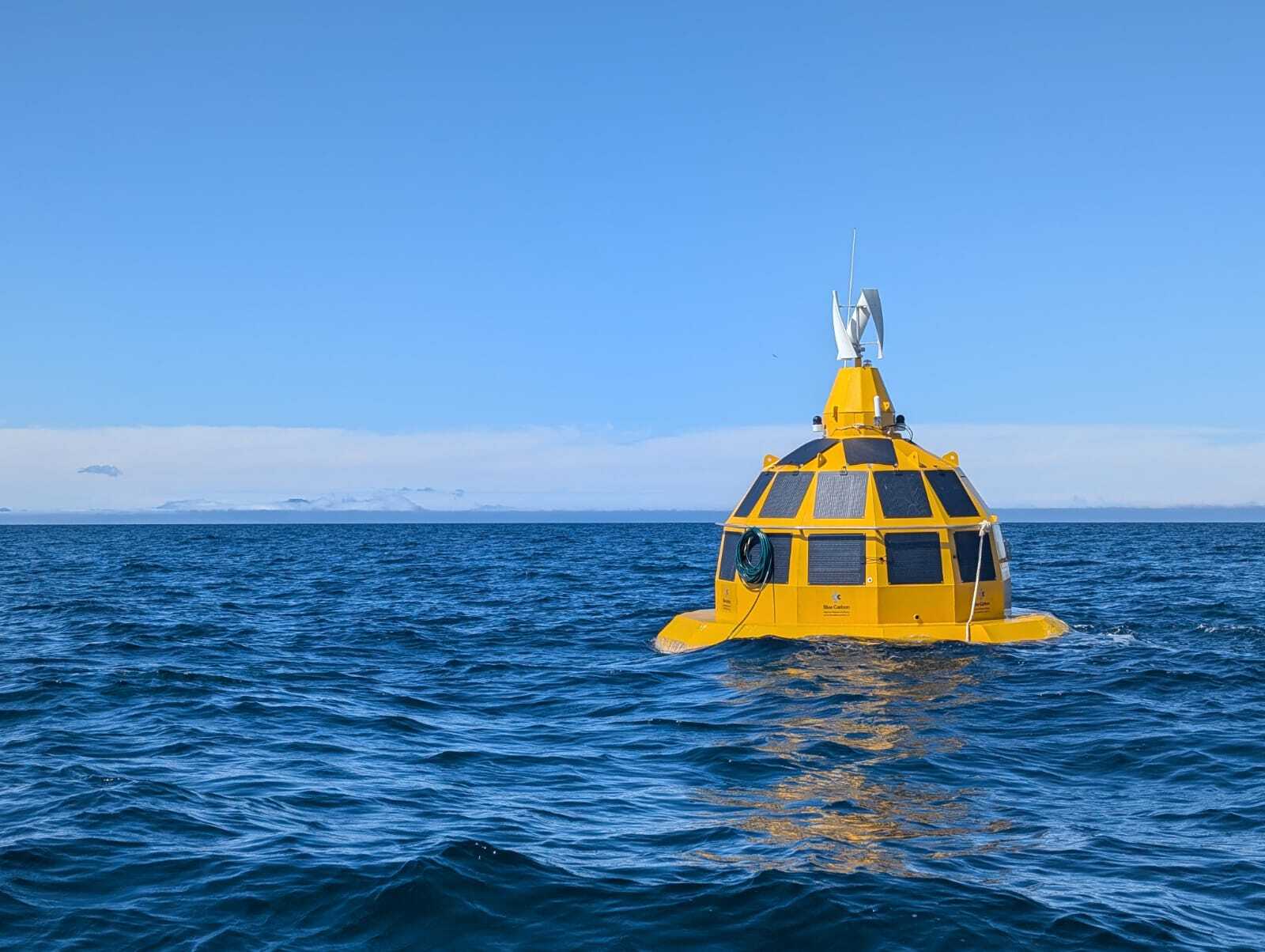 Blue Carbon_Opod