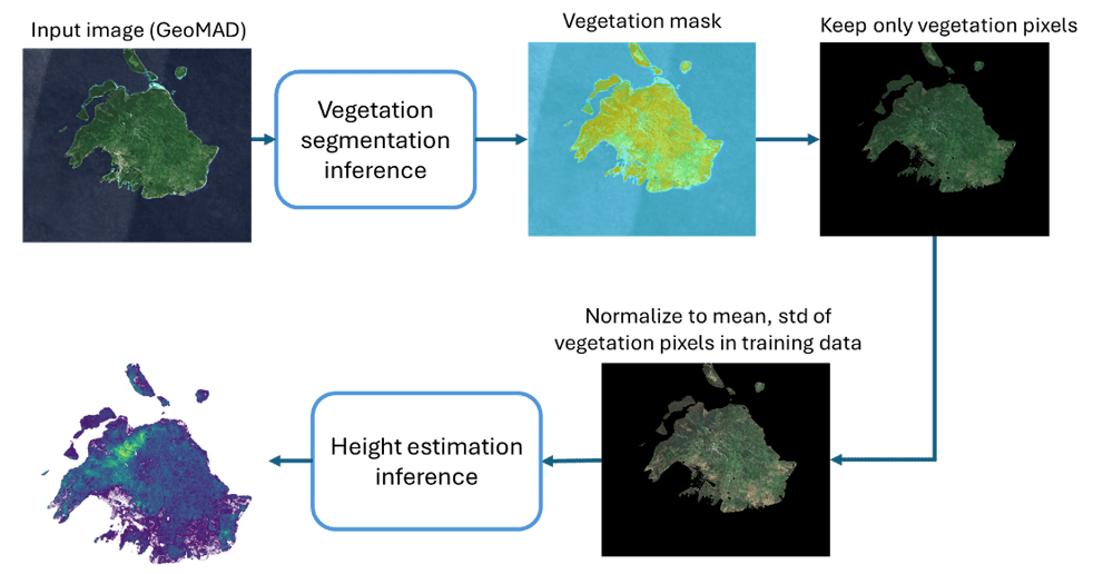 Methodology