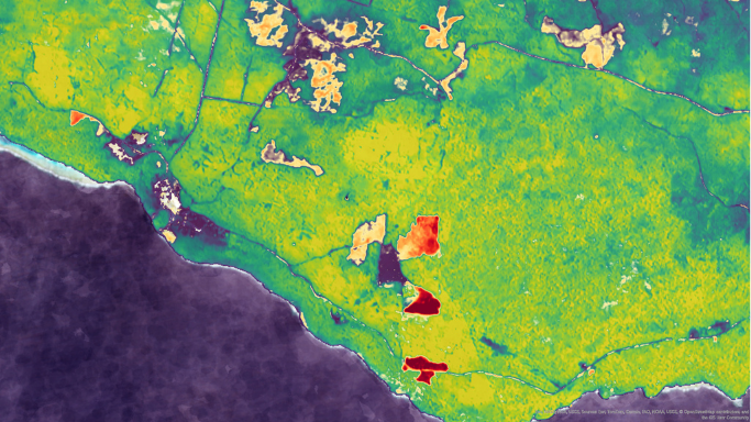Vegetation clearing 2023-2024